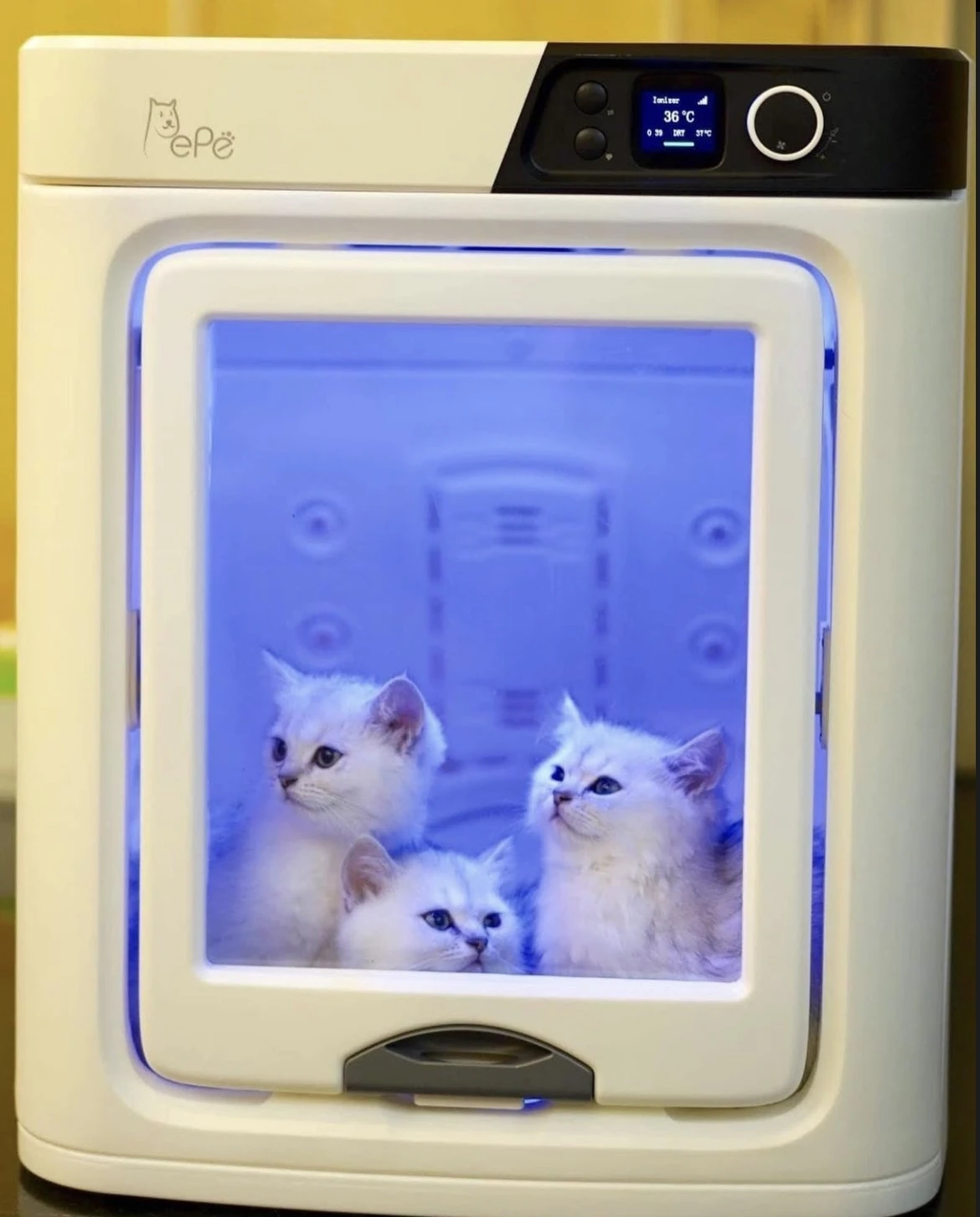 2. 高機能なキャットタワーをご覧あれ