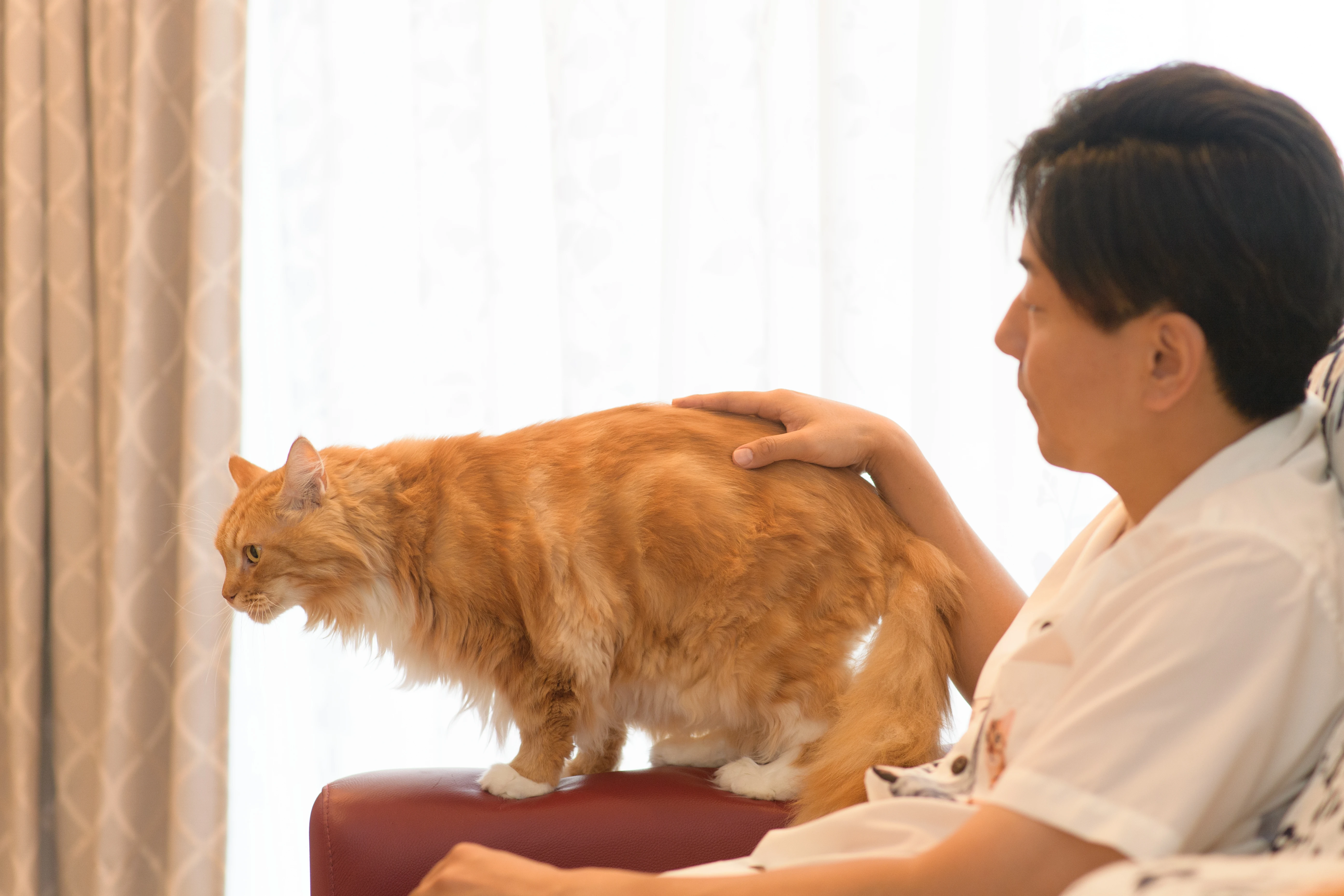 まずは気軽にお問い合わせを！
