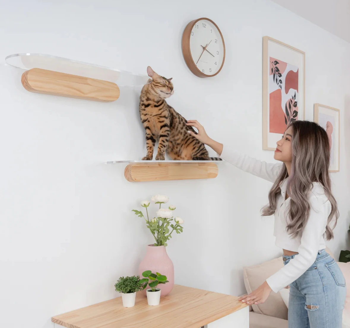 インテリア雑貨で猫との生活を彩る