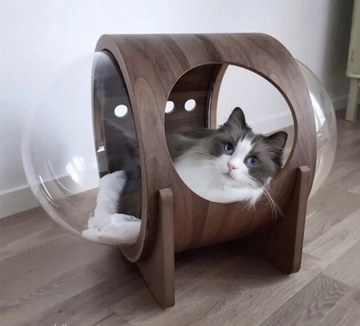 多彩なキャットウォークのご提案