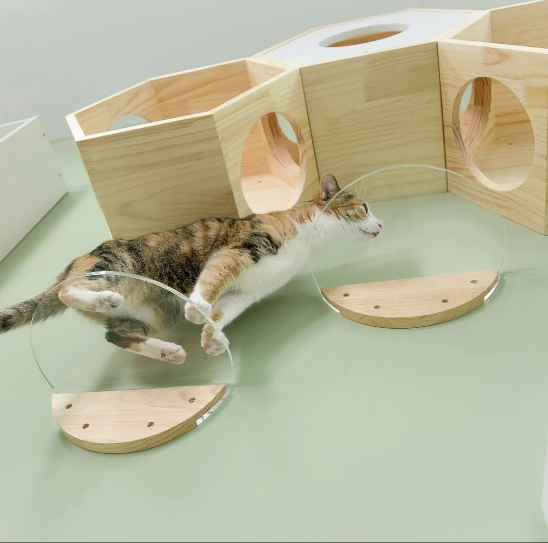 肉球のアートをお部屋に！親愛なる愛猫のために